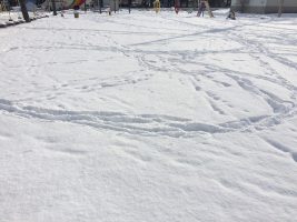 雪の上に残る旋回の証拠