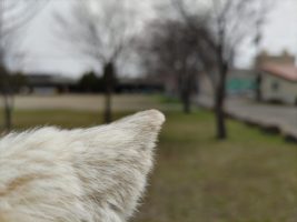 DSC_1360